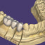Soporte Técnico de Software Dental CAD/CAM